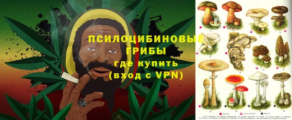 крисы Киреевск