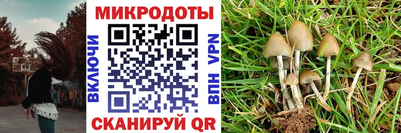 Купить  Гвардейск  Псилоцибиновые грибы мухоморы 